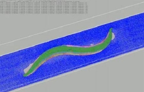 Đột phá về tái tạo dạng sống thực trong thế giới ảo