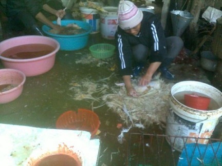 Hãi hùng cảnh giết mổ gia cầm sống tại chợ Hà Nội