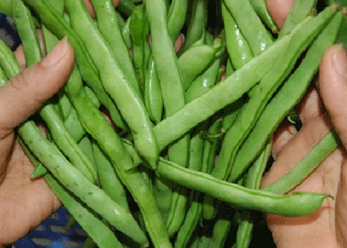 Điểm mặt những loại rau củ chứa nhiều thuốc trừ sâu nhất 