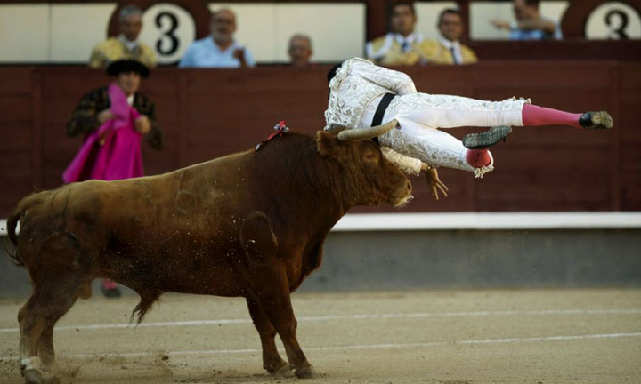 Video: Kinh hoàng cảnh bò tót hất người lên khán đài