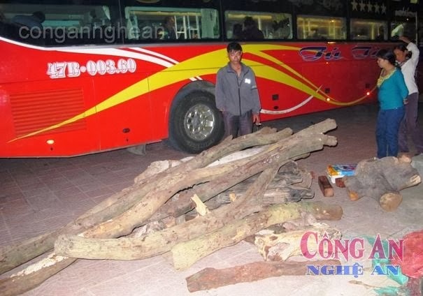 Hà Tĩnh: Bắt xe khách chở gỗ trắc quý hiếm