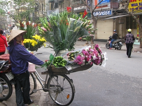 Thời tiết miền Bắc đang ấm trở lại