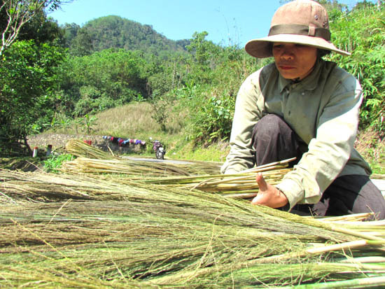 Đầu năm rủ nhau đi hái lộc rừng