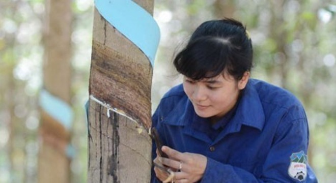 Hoàng Anh Gia Lai giàu nhờ đâu?