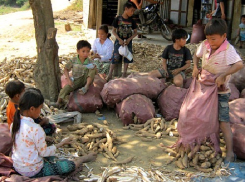 Ám ảnh ở làng... 9 - 10 con là phổ biến