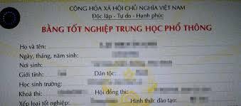 Cà Mau: Phó bí thư xã sử dụng bằng tốt nghiệp giả