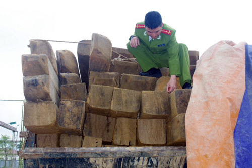 Hà Tĩnh: Bắt một xe ôtô vận chuyển 7m3 gỗ trái phép