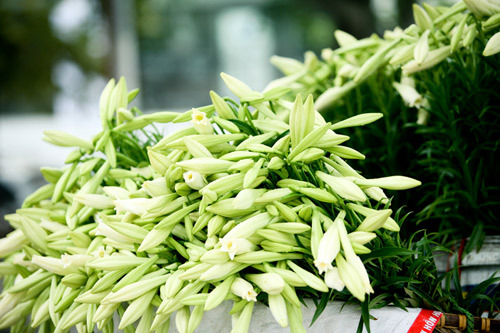 Ngày mai, miền Bắc đón đợt không khí lạnh mới