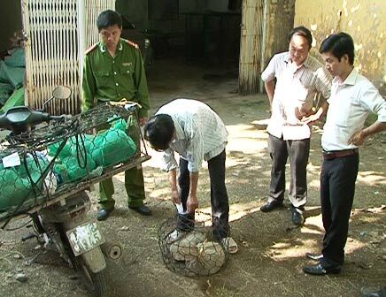 Huế: Bắt vụ vận chuyển nhiều động vật quý hiếm