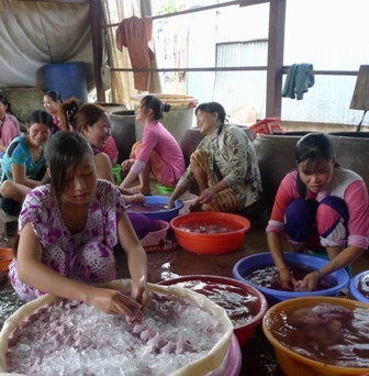 Chợ chuột lớn nhất miền Tây mỗi ngày “xuất” 5 tấn chuột