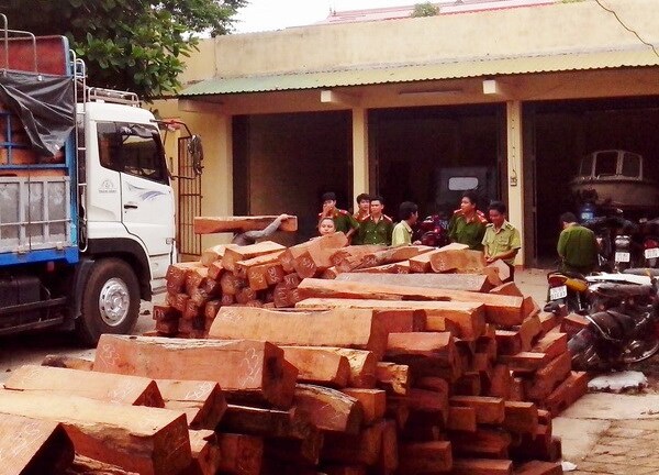Gia Lai: Vẫn nóng tình trạng vận chuyển gỗ lậu