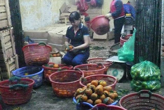 Kỹ nghệ “hồi sinh” hoa quả thối