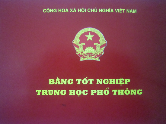Hà Tĩnh: Kỷ luật trưởng công an xã dùng bằng giả