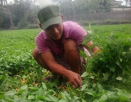 13 năm giúp con cai nghiện tại nhà