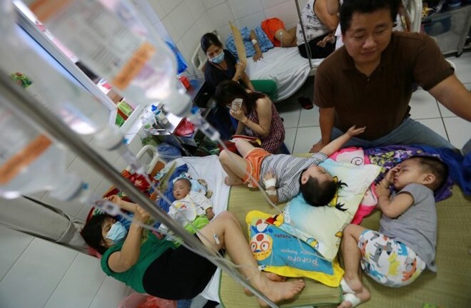 Sau sởi sẽ là đại dịch viêm não Nhật Bản