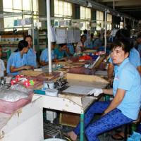 Doanh nghiệp Việt Nam hỗ trợ DN nước ngoài ở Bình Dương 