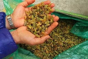 Thu giữ hơn 10 tấn ô mai, nho khô Trung Quốc nhập lậu