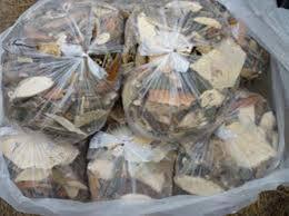 Bình Phước: Thai phụ tử vong vì tự ý uống thuốc nam