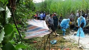 Nghi án một phụ nữ bị hiếp, giết trong ruộng mía 