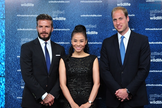 Thu Minh: David Beckham đang rất mong trở lại thăm Việt Nam