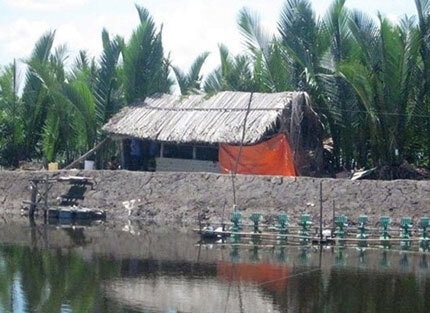 Cuộc đời buồn của người đàn ông bị sát hại, cắt mất