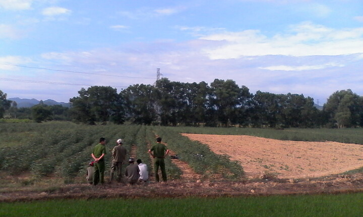 Huế: Nam thanh niên chết bất thường trong vạt sắn