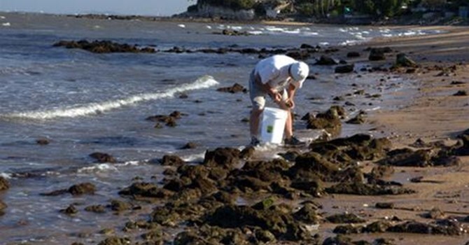 Tìm thấy 4 nữ sinh bị chết đuối khi đi bắt hàu ở Hà Tĩnh