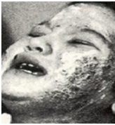 Hành trình loại bỏ hoàn toàn PCB ở VN- Kỳ 1 Sát thủ vô hình