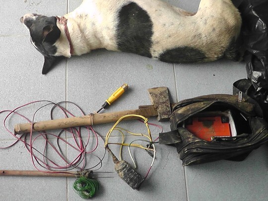 Thức đêm xem World Cup, dân làng bắt được kẻ trộm chó