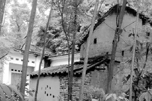 Yêu râu xanh đội lốt ông trẻ