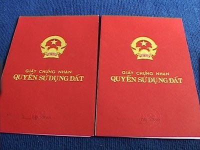 Công ty Thành Thành Công bán đấu giá quyền sử dụng đất