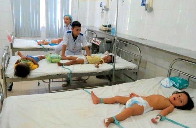 Thừa Thiên - Huế: Ngộ độc cá nóc, 1 người chết, 6 người nhập viện