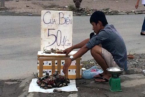 Cua biển nằm ngửa, 50 nghìn/kg tràn vỉa hè Hà Nội