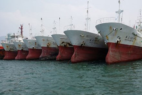 Sắm 100 tàu, 2 trực thăng bám biển cùng ngư dân