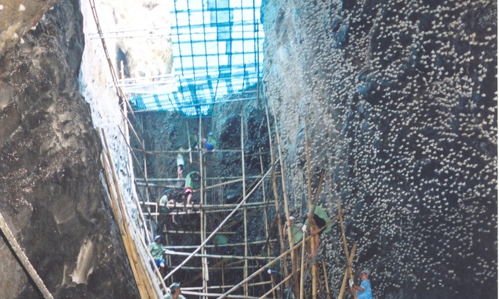 Khai thác yến sào đảo thiên nhiên Khánh Hòa