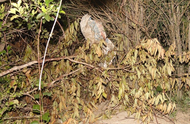 Nghi ngờ huyết thống, bé sơ sinh bị cha đẻ giết chết