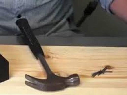 Vụ án kinh hoàng: Dùng búa, mỏ lết đánh chết mẹ và bà ngoại