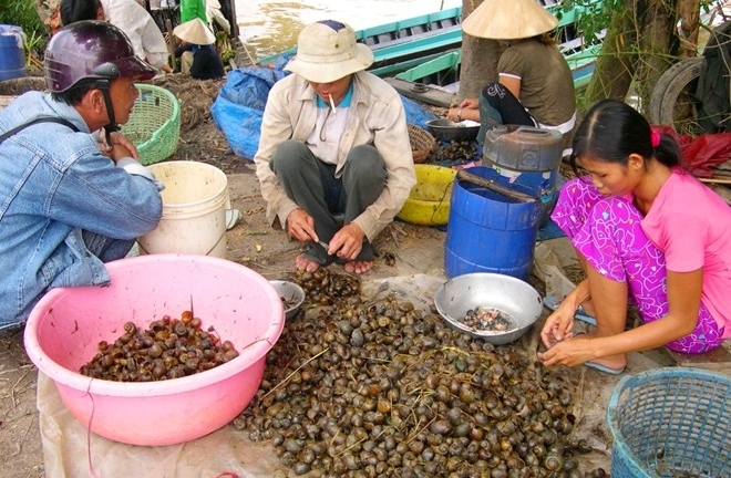 Mất cân bằng sinh thái bởi sinh vật ngoại lai