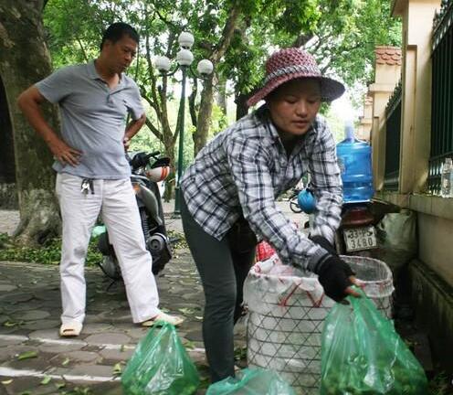 Mùa sấu, chủ “thầu” kiếm 5 triệu đồng/ngày