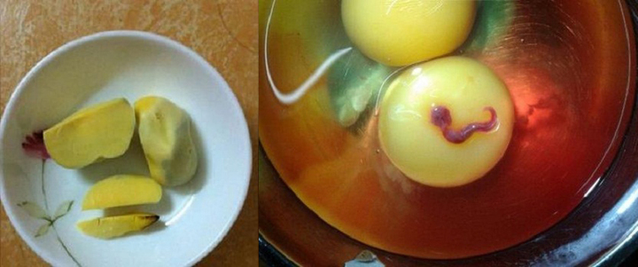 Hoang mang vì xuất hiện hàng loạt trứng gà “lạ”