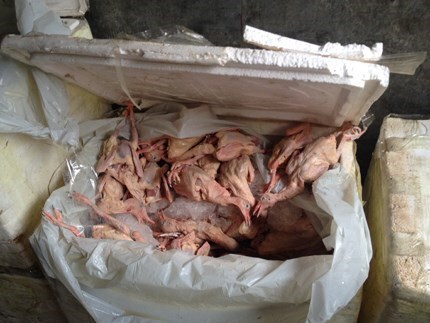 3 giờ đồng hồ, phát hiện liên tiếp 2 vụ nhập lậu gia cầm