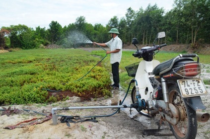 Độc đáo máy bơm nước bằng… xe máy ở vùng đất cát