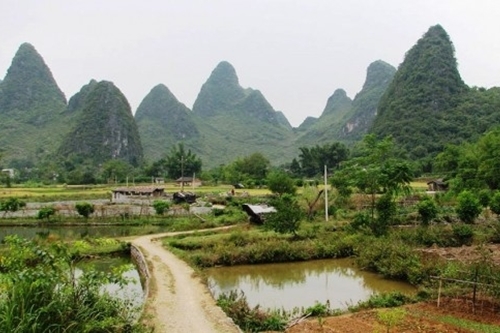 Thị dân Trung Quốc tìm về làng quê