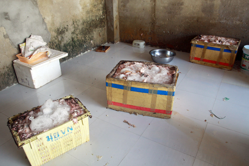 Clip: Hà Nội bắt giữ, tiêu hủy hơn 400kg nội tạng thối