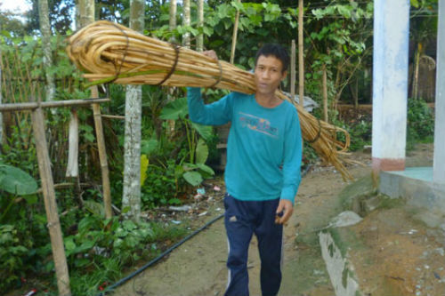 “Người rừng” đã ngán rừng, thích gái chưa chồng