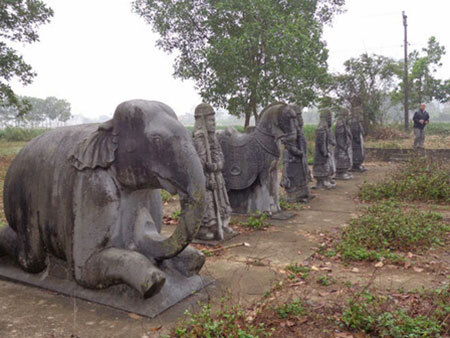 Thực hư ngôi mộ thiên táng có đàn vẹt phủ kín như mây