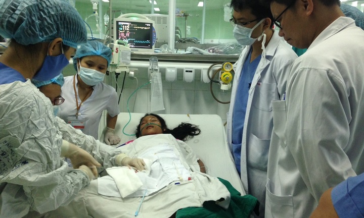 Bé gái nguy kịch vì bị ong vò vẽ đốt hơn 100 mũi