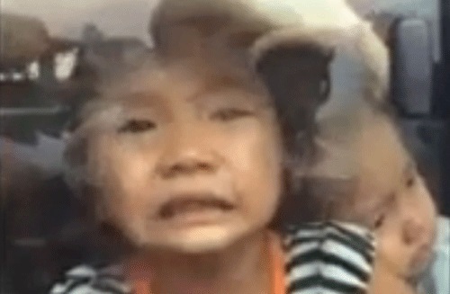 Công an làm rõ vụ 2 trẻ em bị bắt ép lên ô tô đăng trên facebook