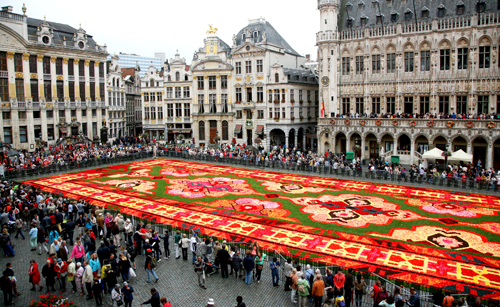 Thảm hoa lộng lẫy dệt từ 750.000 bông thu hải đường