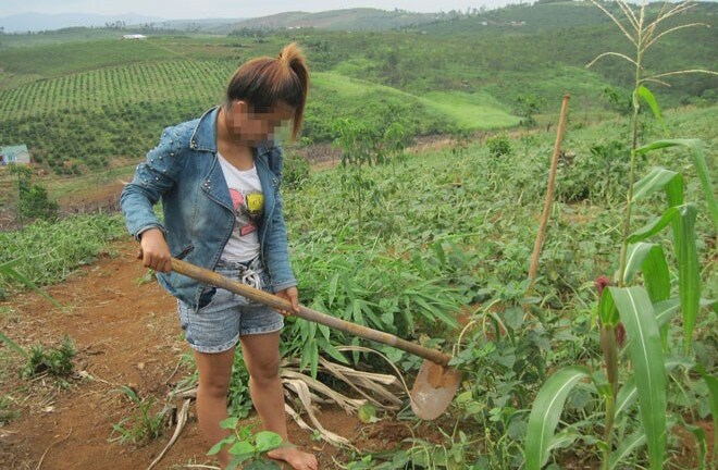 Những người phụ nữ và hành trình trở về từ “địa ngục trần gian”